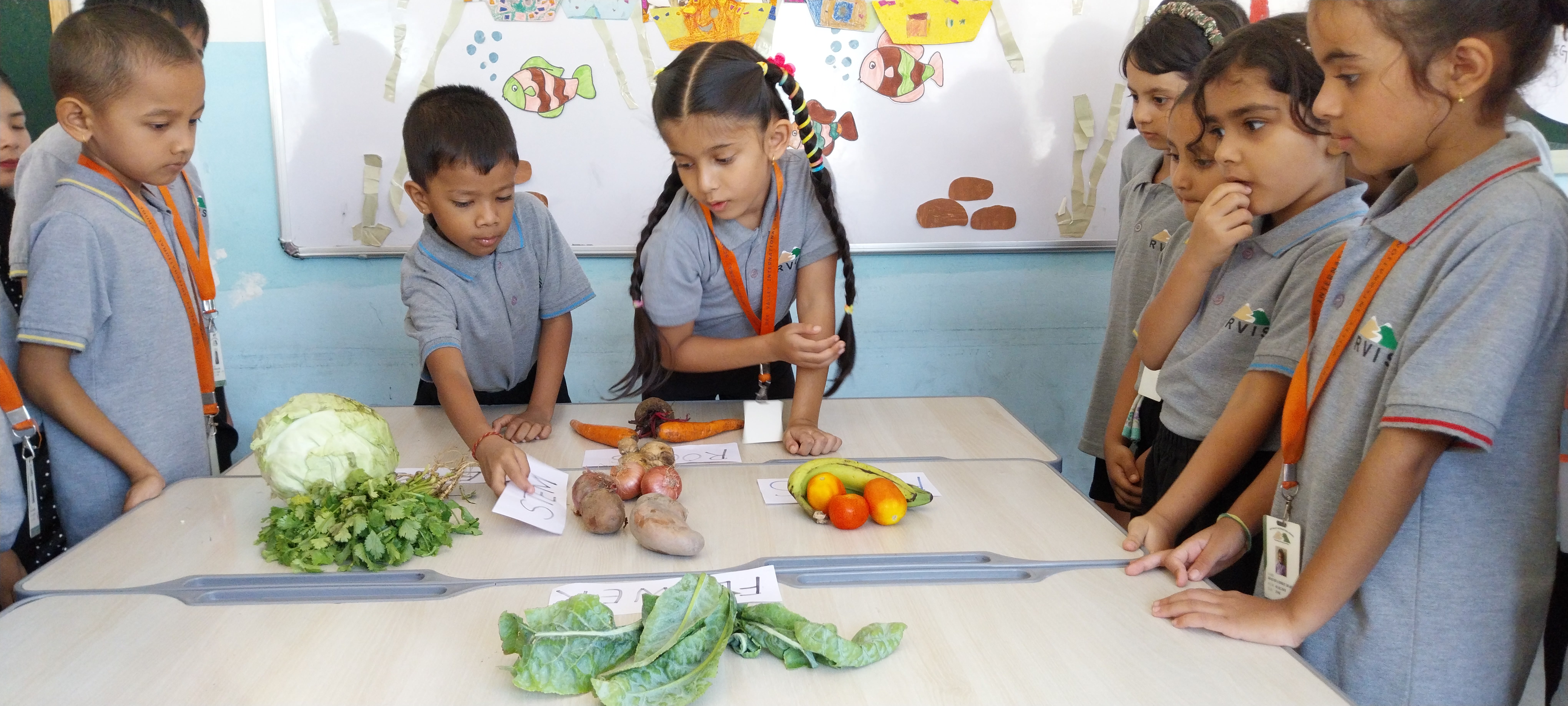 Recognition With Meaning